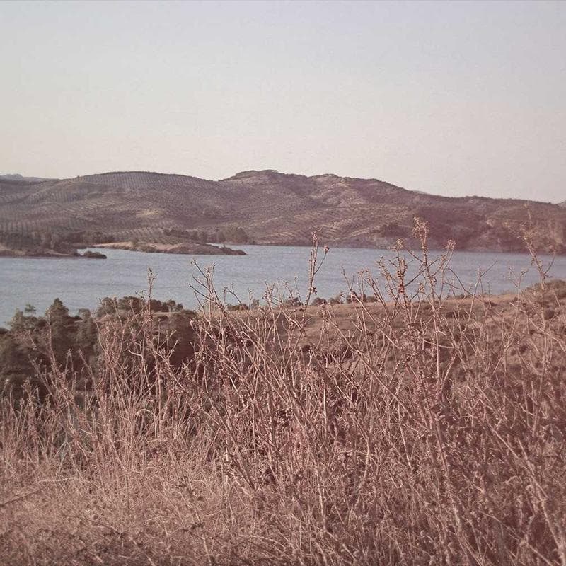 Vista frontal